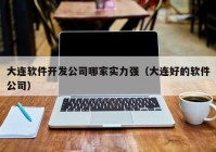 大连软件开发公司哪家实力强（大连好的软件公司）