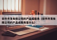 软件开发有限公司的产品或服务（软件开发有限公司的产品或服务是什么）