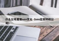 什么公司爱做seo优化（seo比较好的公司）