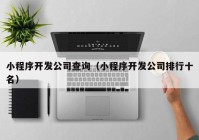 小程序开发公司查询（小程序开发公司排行十名）