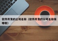 软件开发的公司名称（软件开发的公司名称有哪些）