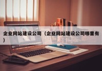 企业网站建设公司（企业网站建设公司哪里有）