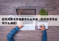 软件开发大学需要学什么专业（软件开发专业学什么课程）