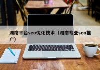 湖南平台seo优化技术（湖南专业seo推广）