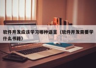 软件开发应该学习哪种语言（软件开发需要学什么书籍）