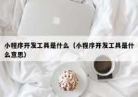 小程序开发工具是什么（小程序开发工具是什么意思）