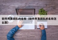 软件开发团队的名称（软件开发团队的名称怎么取）