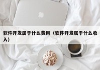 软件开发属于什么费用（软件开发属于什么收入）