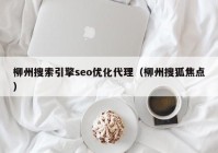 柳州搜索引擎seo优化代理（柳州搜狐焦点）