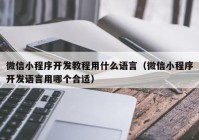 微信小程序开发教程用什么语言（微信小程序开发语言用哪个合适）