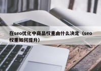 在seo优化中商品权重由什么决定（seo权重如何提升）