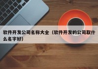 软件开发公司名称大全（软件开发的公司取什么名字好）