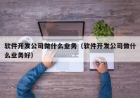 软件开发公司做什么业务（软件开发公司做什么业务好）