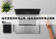 哈尔滨软件开发公司（哈尔滨软件开发公司排名）